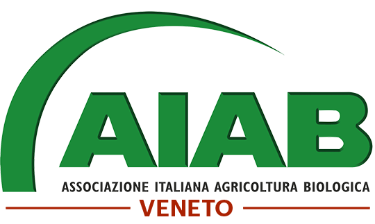 Aiab Veneto Logo