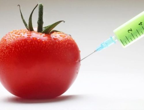 OGM: Petizione europea contro la deregulation