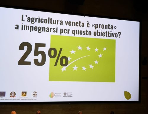 AIAB VENETO PRESENTE ALL’EVENTO – “Veneto Biologico. Persone, modelli e politiche per un’agricoltura sostenibile”