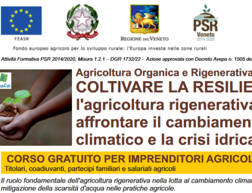 “Coltivare la resilienza: l’agricoltura rigenerativa per affrontare il cambiamento climatico e la crisi idrica”